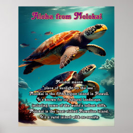 Hawaïaanse eilanden Molokai Aloha Poster