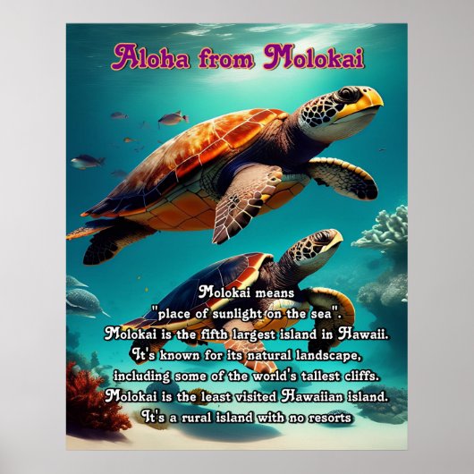 Hawaïaanse eilanden Molokai Aloha Poster (Voorkant)