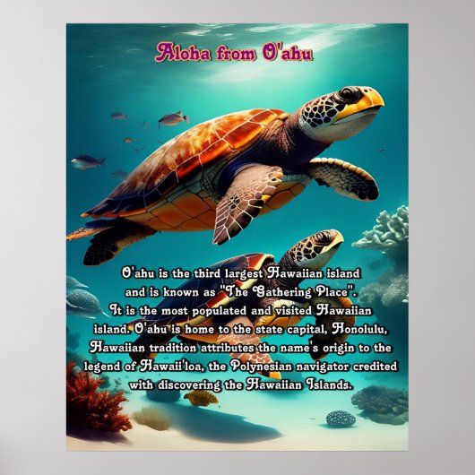 Hawaïaanse eilanden Oahu Aloha Poster (Voorkant)