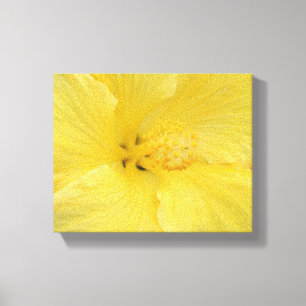 Hawaiaanse Gele Hibiscus Fijne Kunst Foto Canvas Afdruk