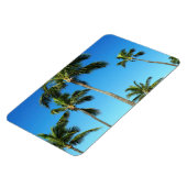 Hawaïaanse kokosnoot bomen foto magneet (Linkerzijde)