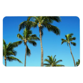 Hawaïaanse kokosnoot bomen foto magneet
