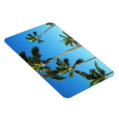 Hawaïaanse kokosnoot bomen foto magneet (Rechterzijde)