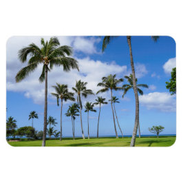 Hawaïaanse kokosnoot bomen foto magneet