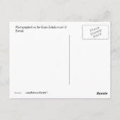 Hawaiaanse kust bij zonsondergang briefkaart (Achterkant)