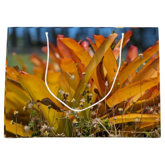 Hawaiaanse landschapsfoto groot cadeauzakje (Voorkant)