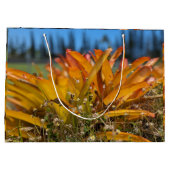 Hawaiaanse landschapsfoto groot cadeauzakje (Achterkant)