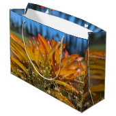 Hawaiaanse landschapsfoto groot cadeauzakje (Achterkant Gekanteld)