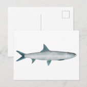 Hawaïaanse lieveheersbeest briefkaart (Voorkant / Achterkant)
