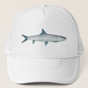 Hawaïaanse lieveheersbeest trucker pet