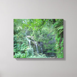 Hawaïaanse (Maui) waterval Canvas Afdruk