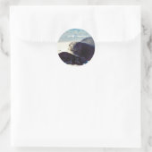 Hawaïaanse Monk Seal en Pup Ronde Sticker (Tas)