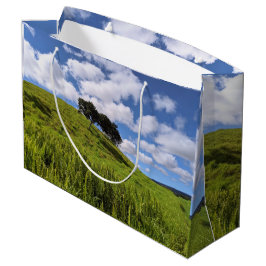 Hawaiaanse Natuur Landschap Foto Groot Cadeauzakje