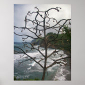 Hawaiaanse Oceaan Strand Boom Foto Uitzicht Poster (Voorkant)