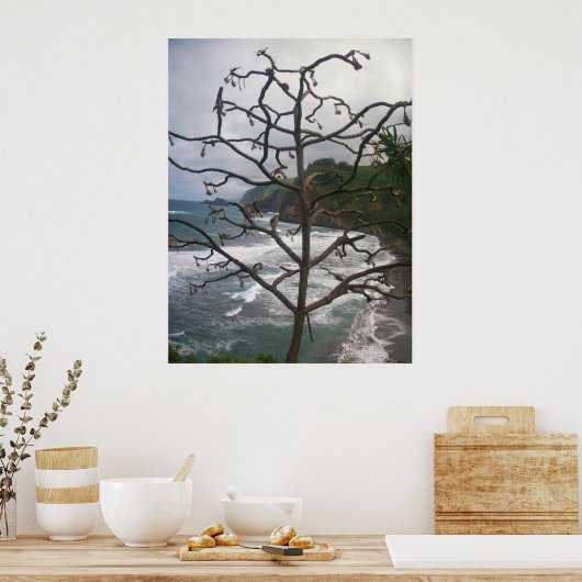 Hawaiaanse Oceaan Strand Boom Foto Uitzicht Poster (Keuken)