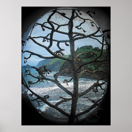 Hawaïaanse Ocean Beach Tree Foto Schijnwerper Poster (Voorkant)