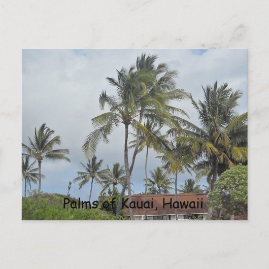Hawaiaanse Palmbomen Briefkaart (Voorkant)