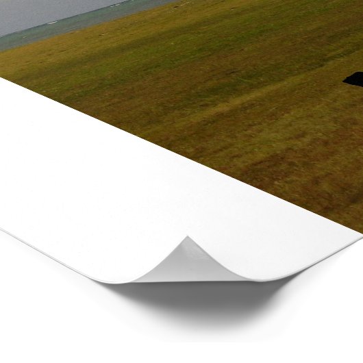 Hawaïaanse palmboom poster (Hoek)