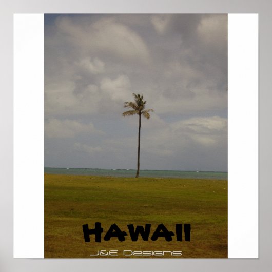 Hawaïaanse palmboom poster (Voorkant)