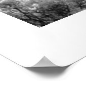 Hawaïaanse palmboom poster (Hoek)