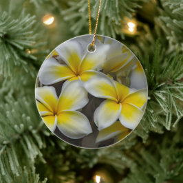 Hawaiaanse Plumeria Zachte Bloemblad Keramisch Ornament