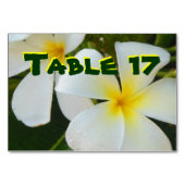 Hawaiaanse Plumerias Kaart (Achterkant)