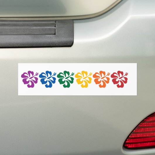 Hawaïaanse regenboog bumpersticker (Op auto)