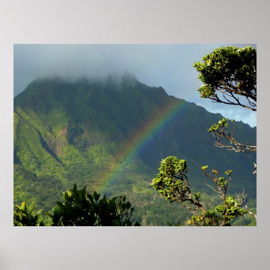 Hawaïaanse regenboog poster (Voorkant)