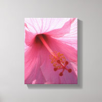 Hawaiaanse Roze Hibiscus Fijne Kunst Foto