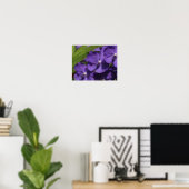 Hawaiaanse Tropische Orchidee Poster (Thuiskantoor)