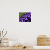 Hawaiaanse Tropische Orchidee Poster (Keuken)