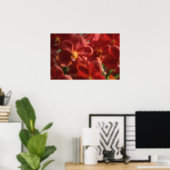Hawaiaanse Tropische Orchidee Poster (Thuiskantoor)