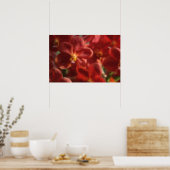 Hawaiaanse Tropische Orchidee Poster (Keuken)