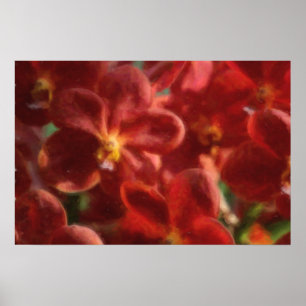Hawaiaanse Tropische Orchidee Poster