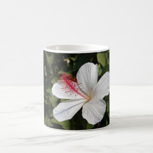 Hawaïaanse witte hibiscus koffiemok (Center)