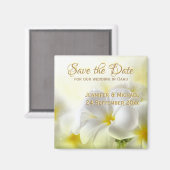 Hawaïaanse witte plumeria magneet (Voorkant / Achterkant)