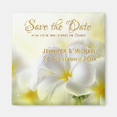 Hawaïaanse witte plumeria magneet (Voorkant)