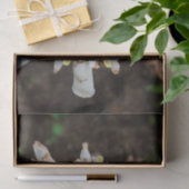Hawaiaanse witte toorts gember bloem tissue papier (Geschenk)