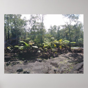 HAWAÏAN HAPUU FERNS POSTER
