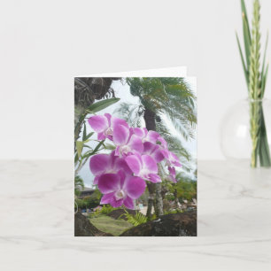 HAWAÏAN ORCHID - Blanco briefkaart