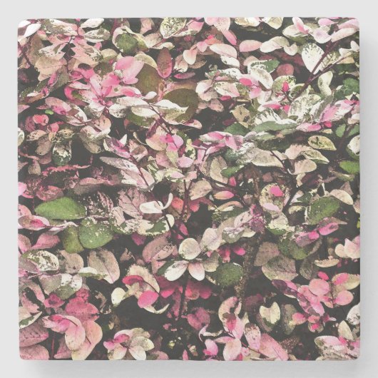 "HAWAÏAN SNOWBUSH" /PINKS, GROENEN EN WHITES STENEN ONDERZETTER (Voorkant)