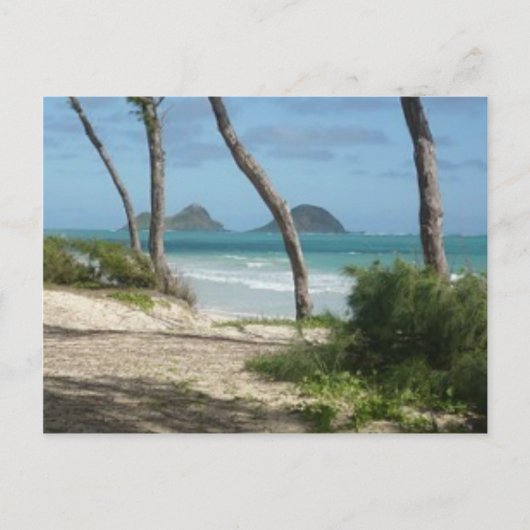 HAWAII ALOHA COLLECTIE BRIEFKAART (Voorkant)