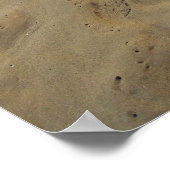 Hawaii Aloha Poster (Hoek)