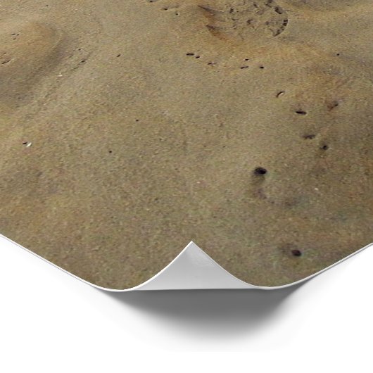 Hawaii Aloha Poster (Hoek)