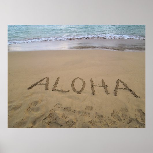 Hawaii Aloha Poster (Voorkant)