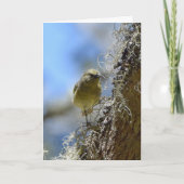 Hawaii Amakihi Kaart (Voorkant)