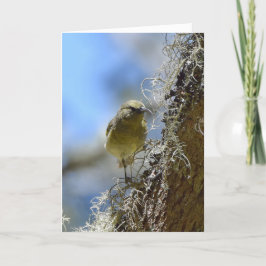 Hawaii Amakihi Kaart