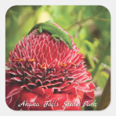 Hawaii Anole Lizard Red Tropical Flower Akaka Herf Vierkante Sticker (Voorkant)