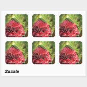 Hawaii Anole Lizard Red Tropical Flower Akaka Herf Vierkante Sticker (Vel)