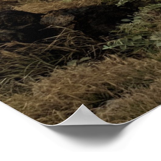 Hawaii - avontuur van groen zand-strand poster (Hoek)